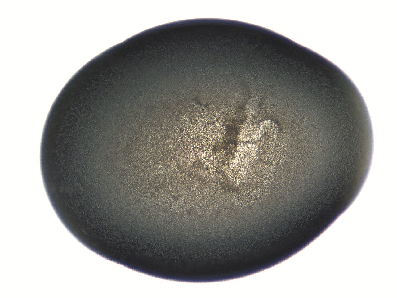 069r_F5_ImagerDefaults_3.jpg