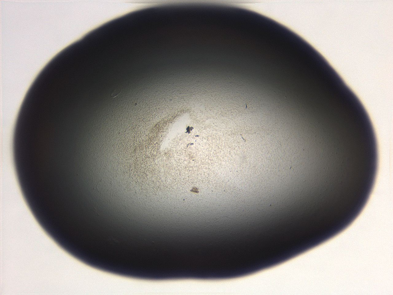 069r_F8_ImagerDefaults_3.jpg