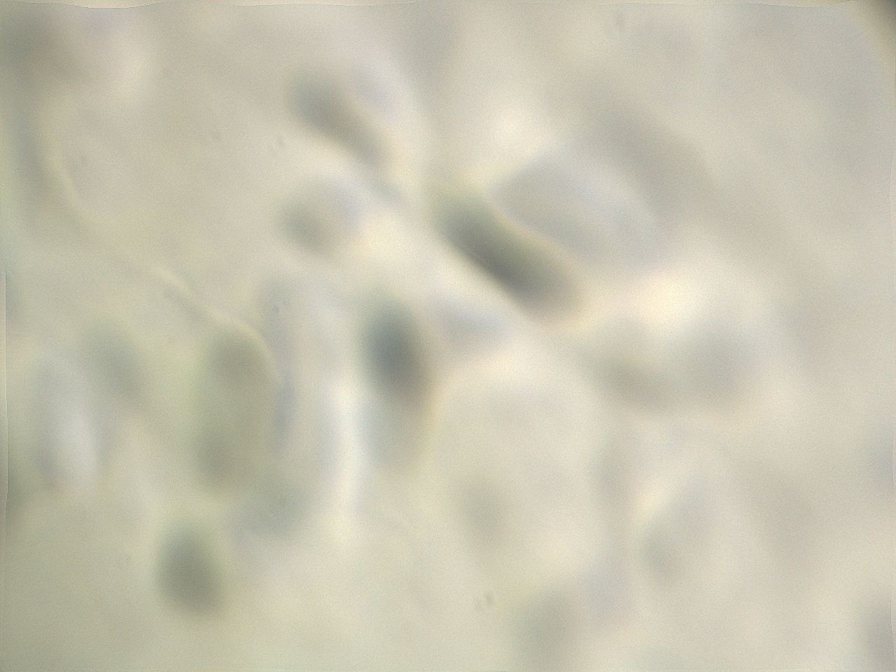 069r_F9_ImagerDefaults_m.jpg
