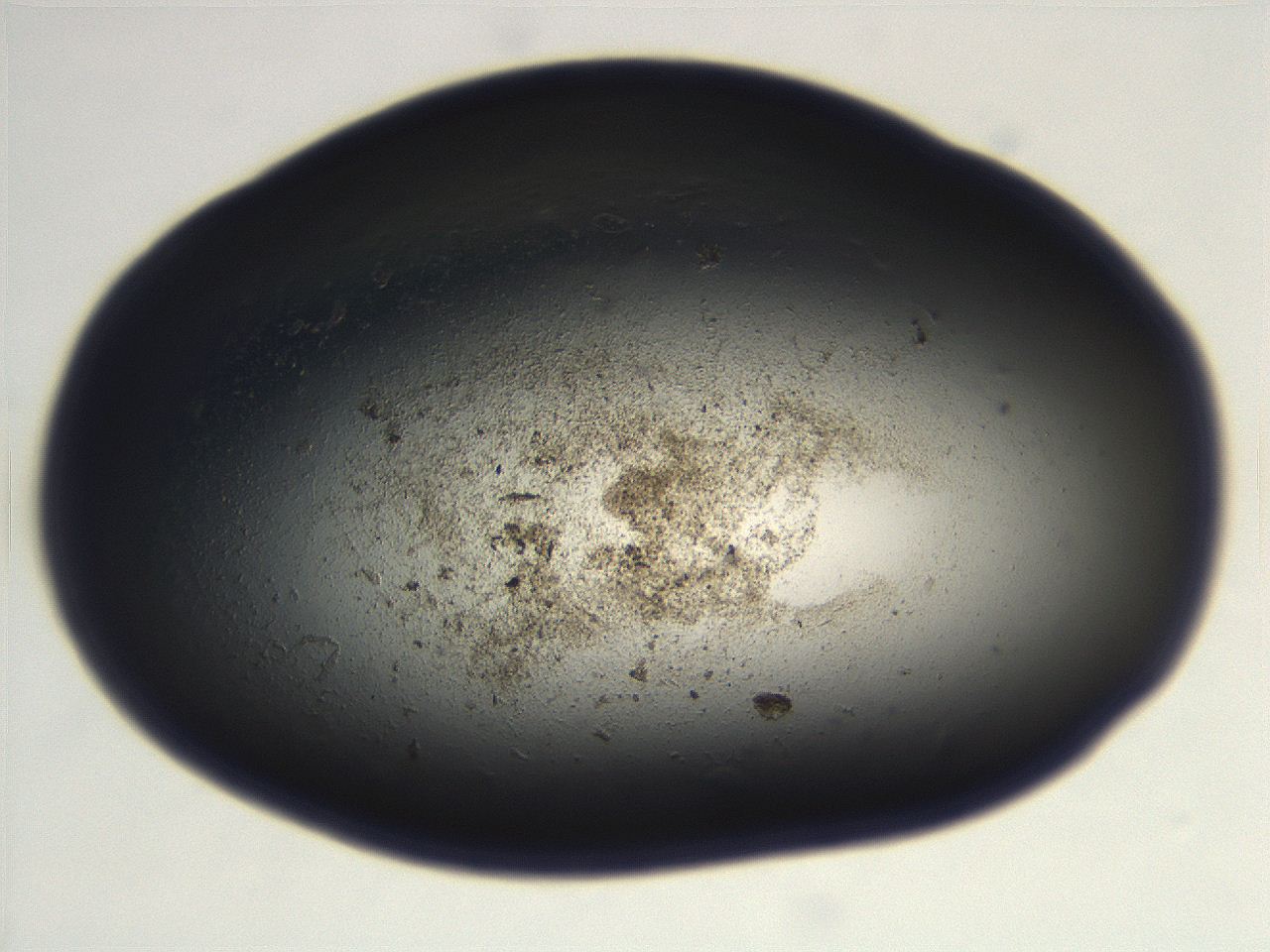069r_G1_ImagerDefaults_3.jpg