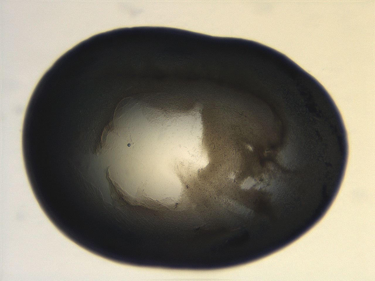 069r_G2_ImagerDefaults_3.jpg