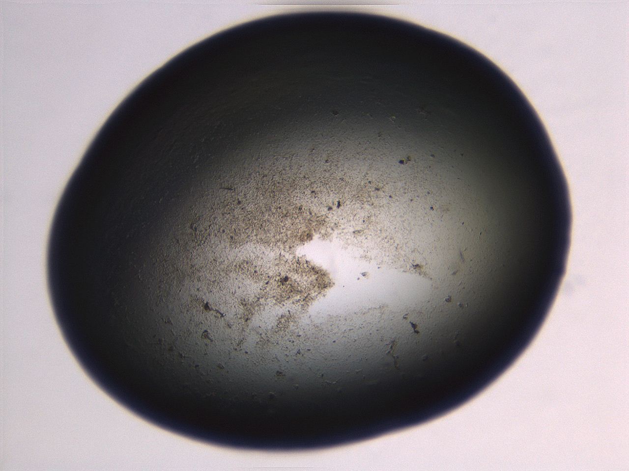 069r_G3_ImagerDefaults_3.jpg
