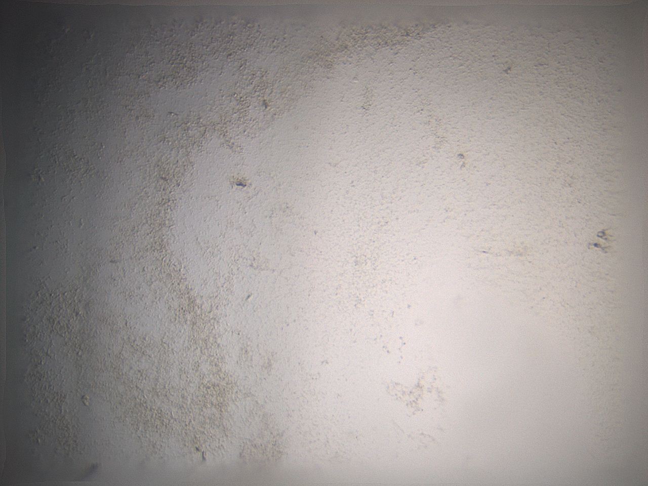 069r_E11_ImagerDefaults_3.jpg