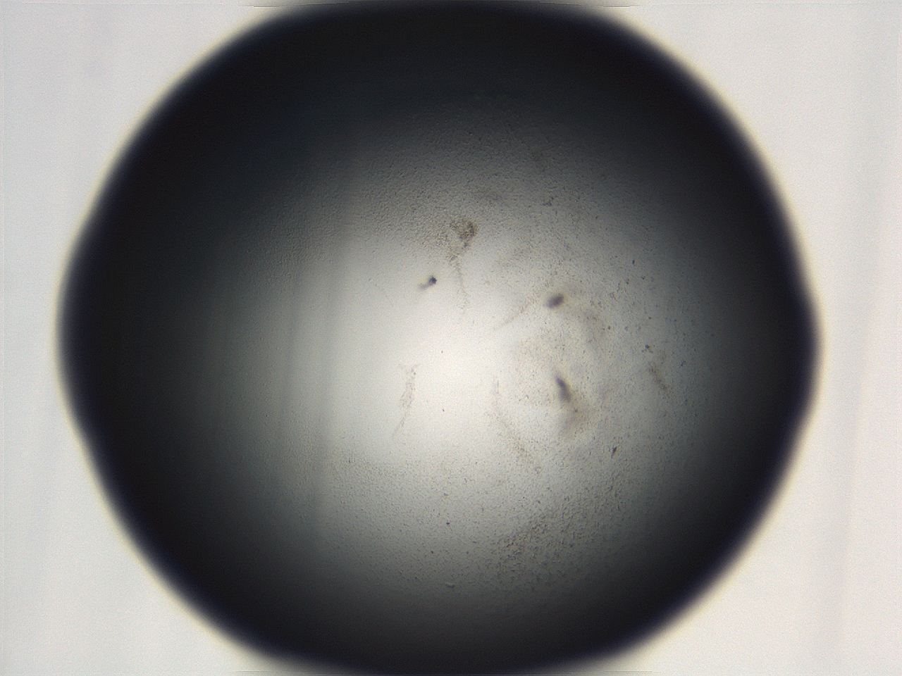 069r_C11_ImagerDefaults_3.jpg