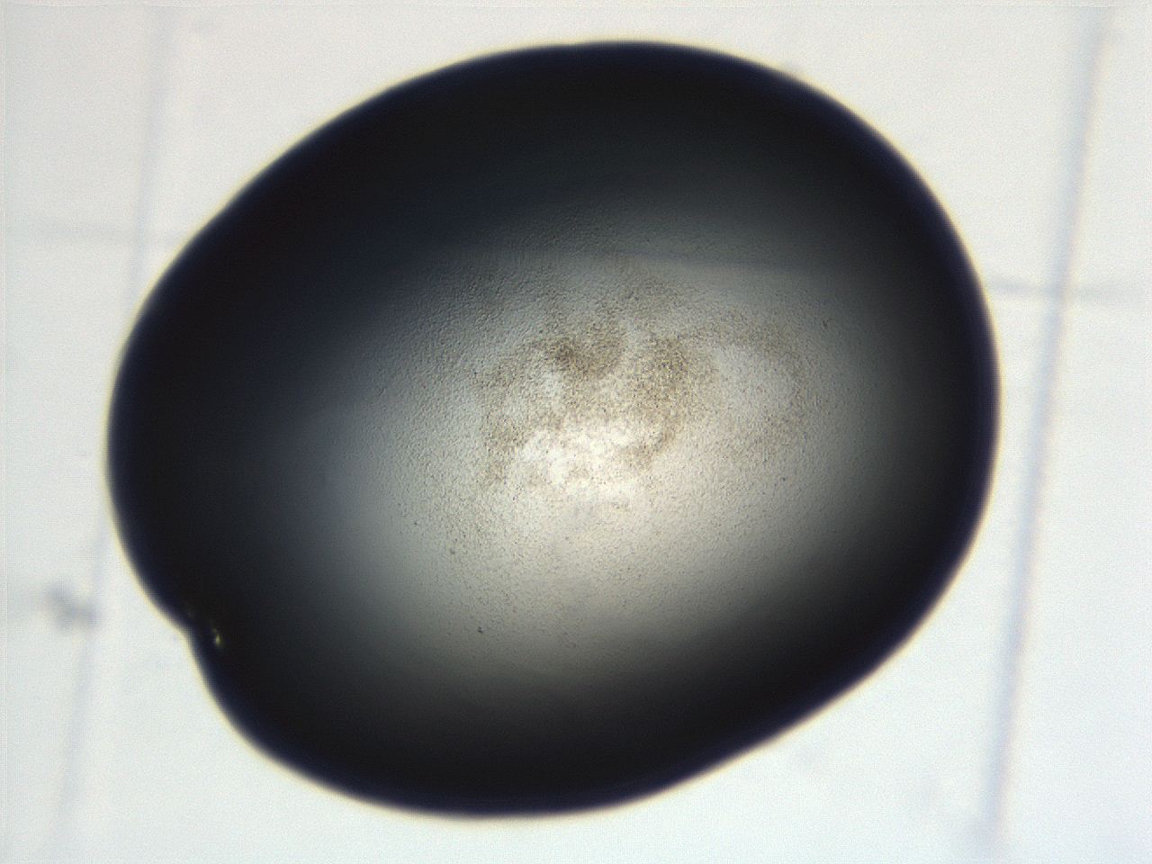 069r_D1_ImagerDefaults_3.jpg