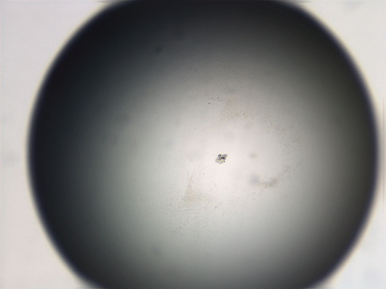 069r_D12_ImagerDefaults_0.jpg