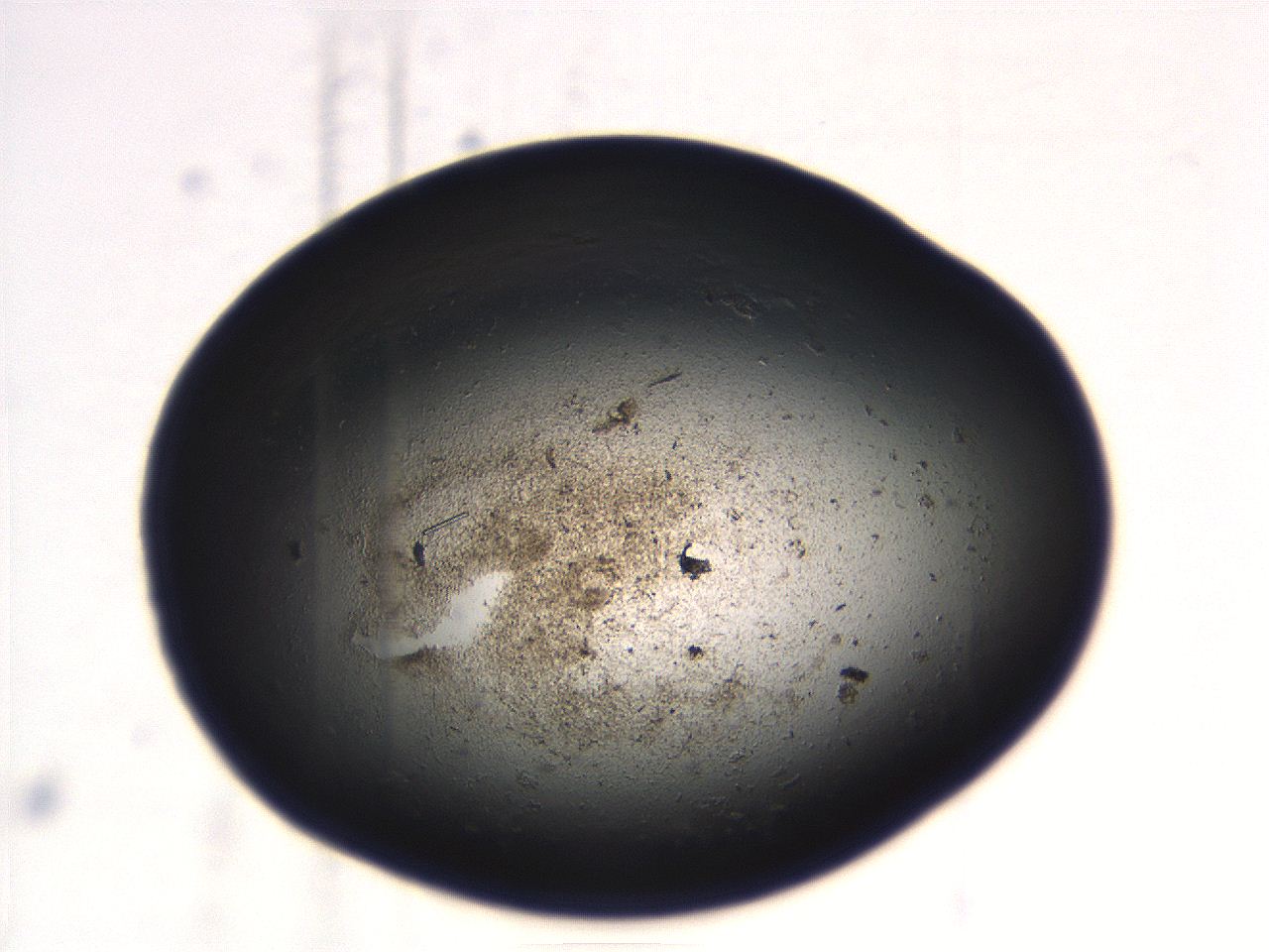 069r_G4_ImagerDefaults_3.jpg
