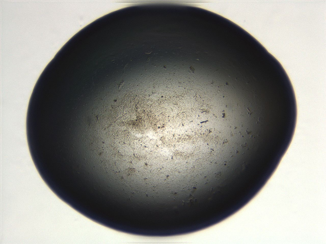 069r_G5_ImagerDefaults_3.jpg