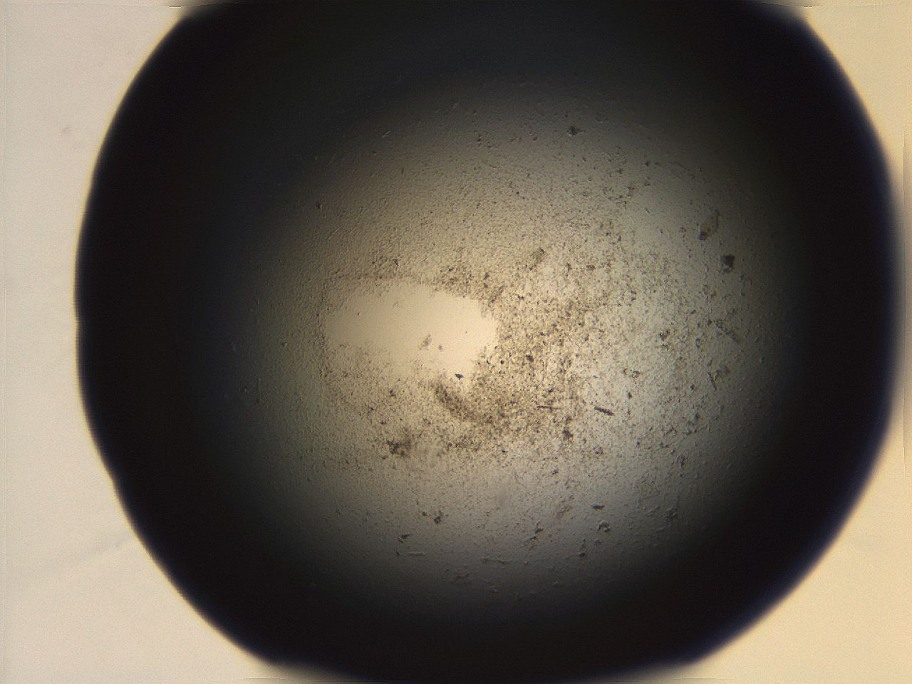 069r_G6_ImagerDefaults_3.jpg