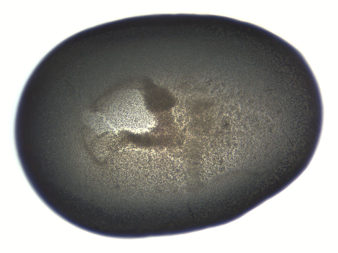 069r_G7_ImagerDefaults_3.jpg