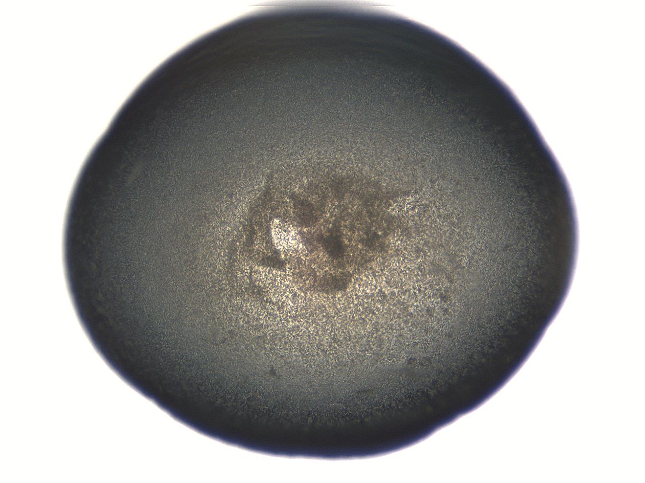 069r_G8_ImagerDefaults_3.jpg
