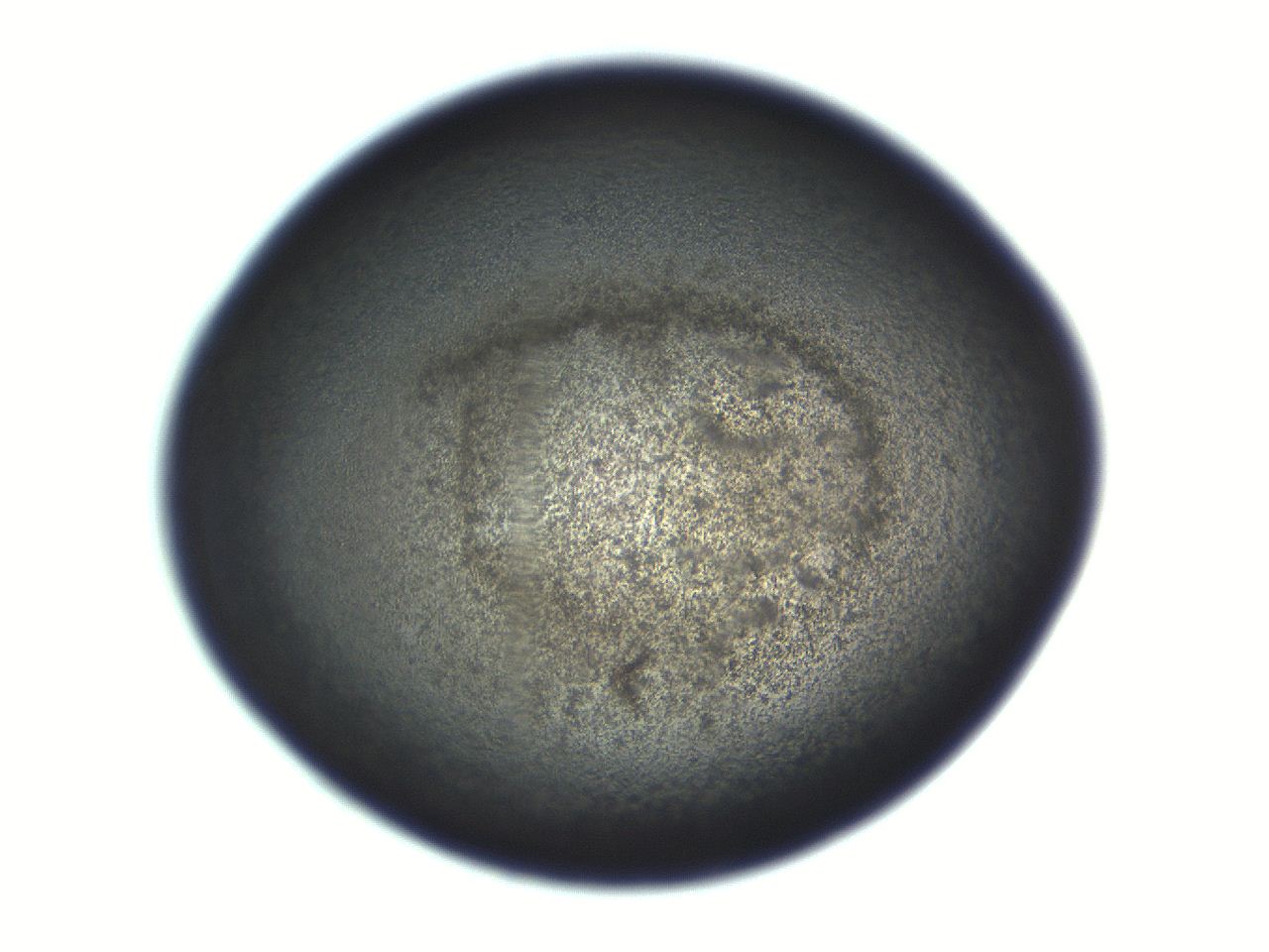 069r_G11_ImagerDefaults_3.jpg