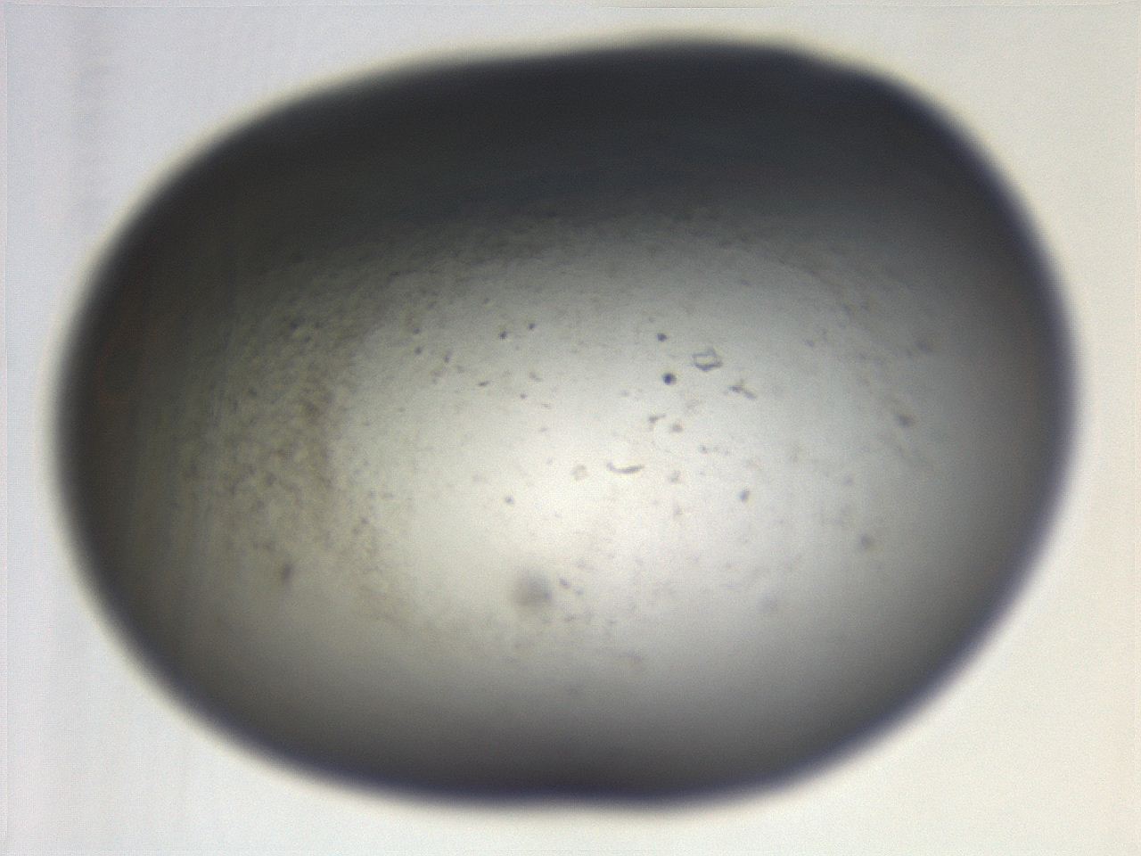 069r_G12_ImagerDefaults_3.jpg