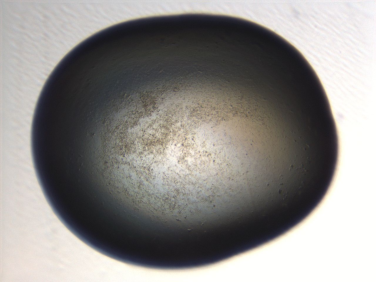 069r_H1_ImagerDefaults_3.jpg