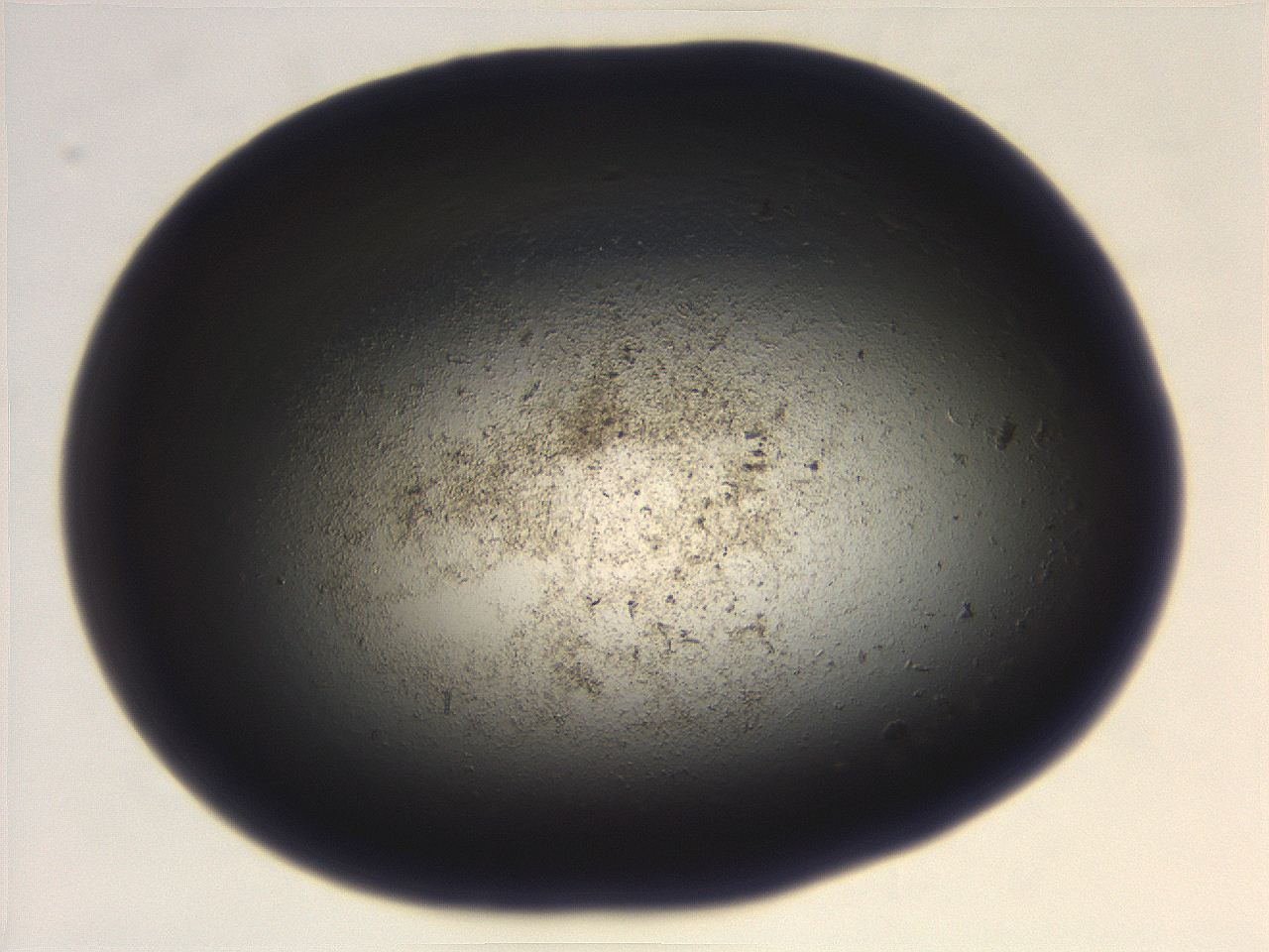 069r_H2_ImagerDefaults_3.jpg