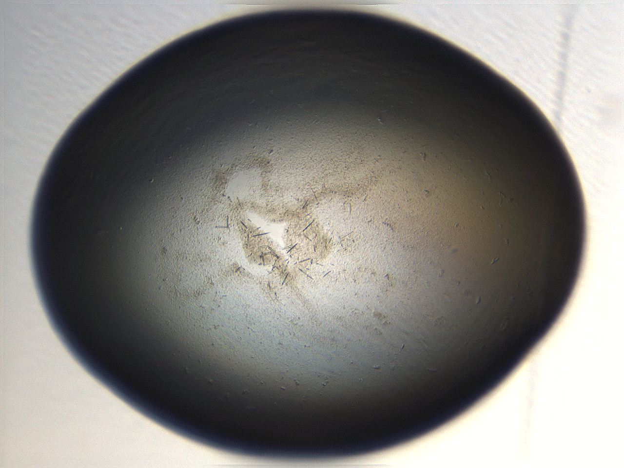 069r_H5_ImagerDefaults_7.jpg