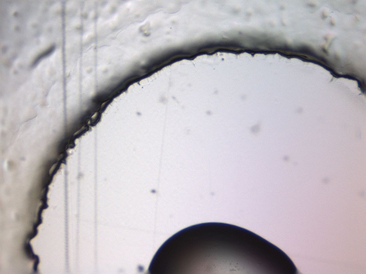 069r_H6_ImagerDefaults_m.jpg