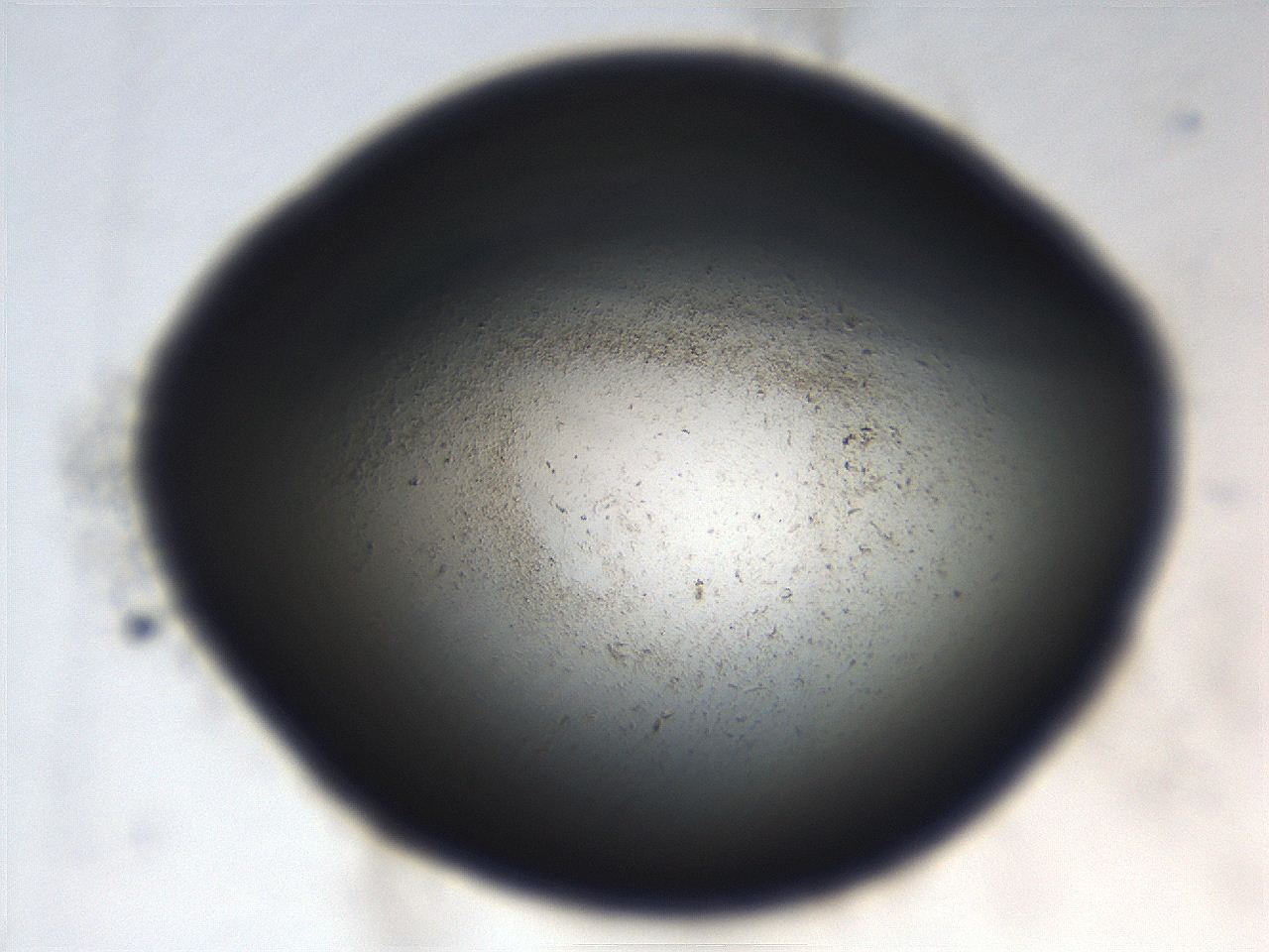 069r_H12_ImagerDefaults_3.jpg