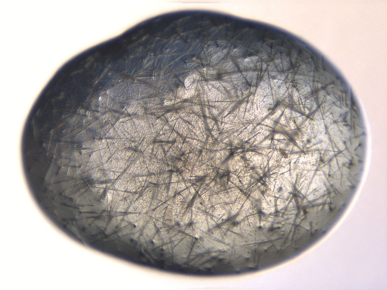 069t_A4_ImagerDefaults_7.jpg