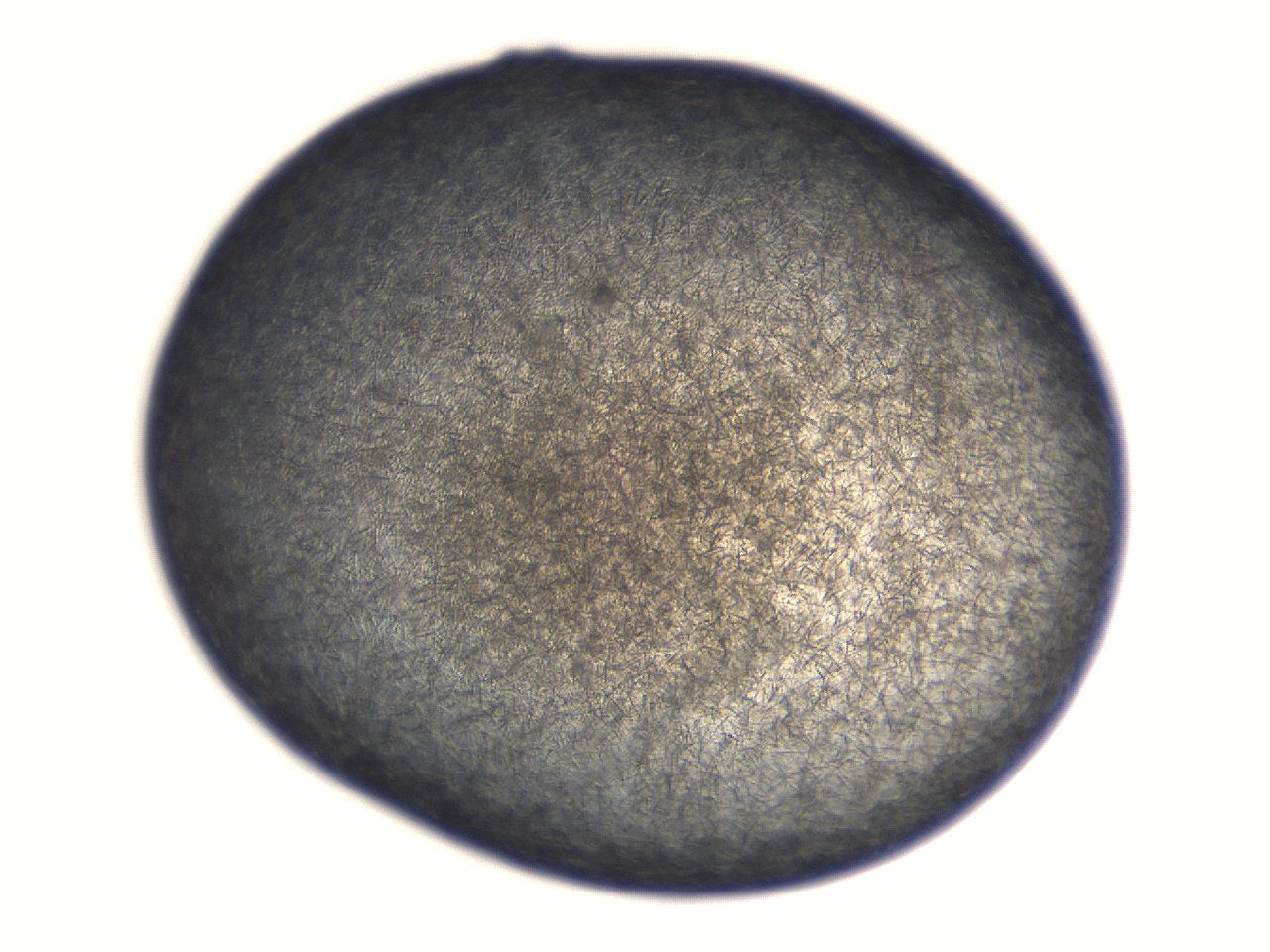 069t_A3_ImagerDefaults_7.jpg