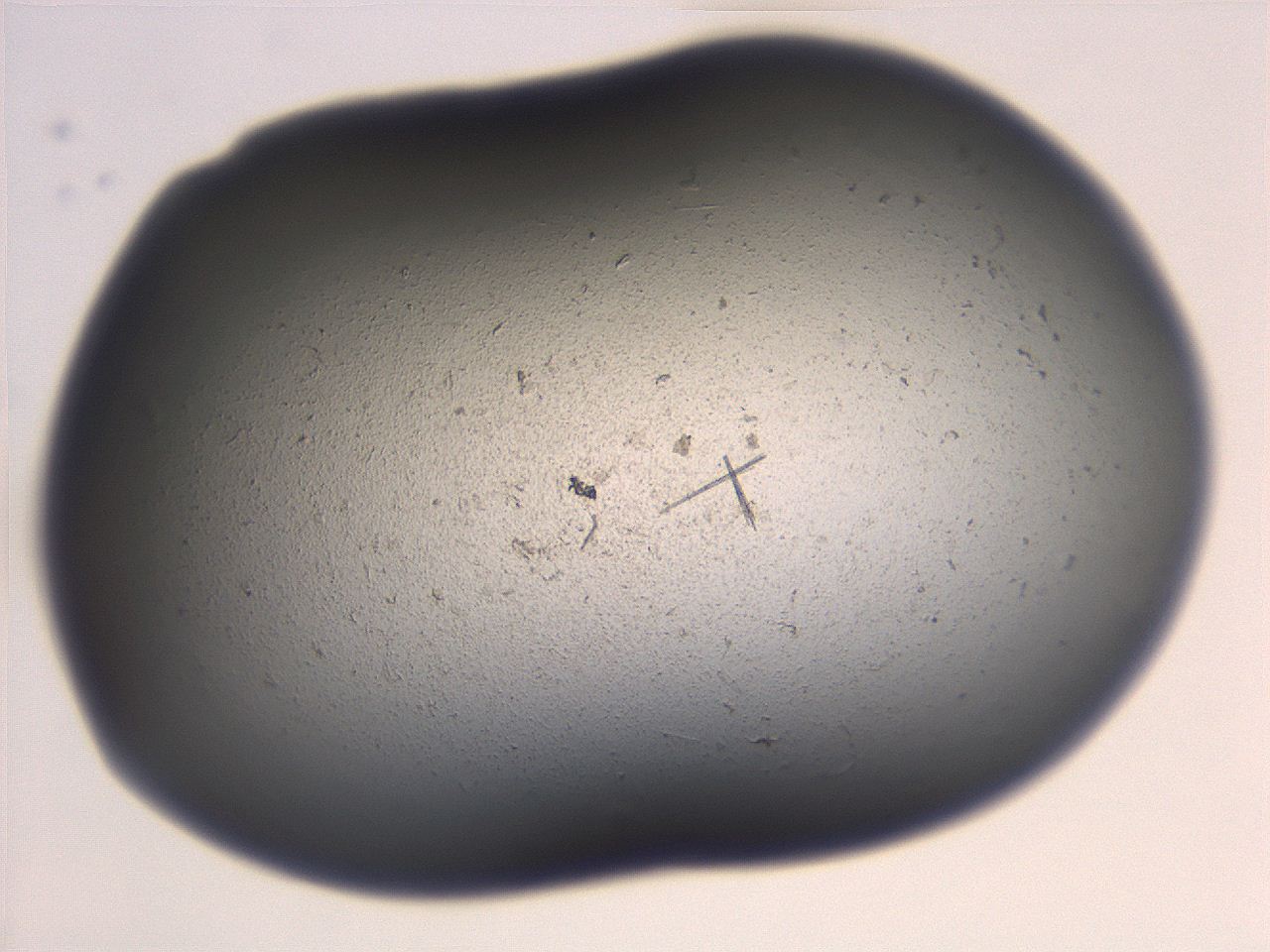 069t_B2_ImagerDefaults_7.jpg