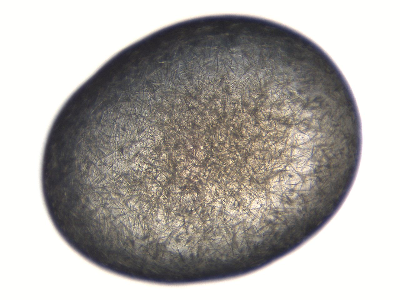 069t_A6_ImagerDefaults_7.jpg