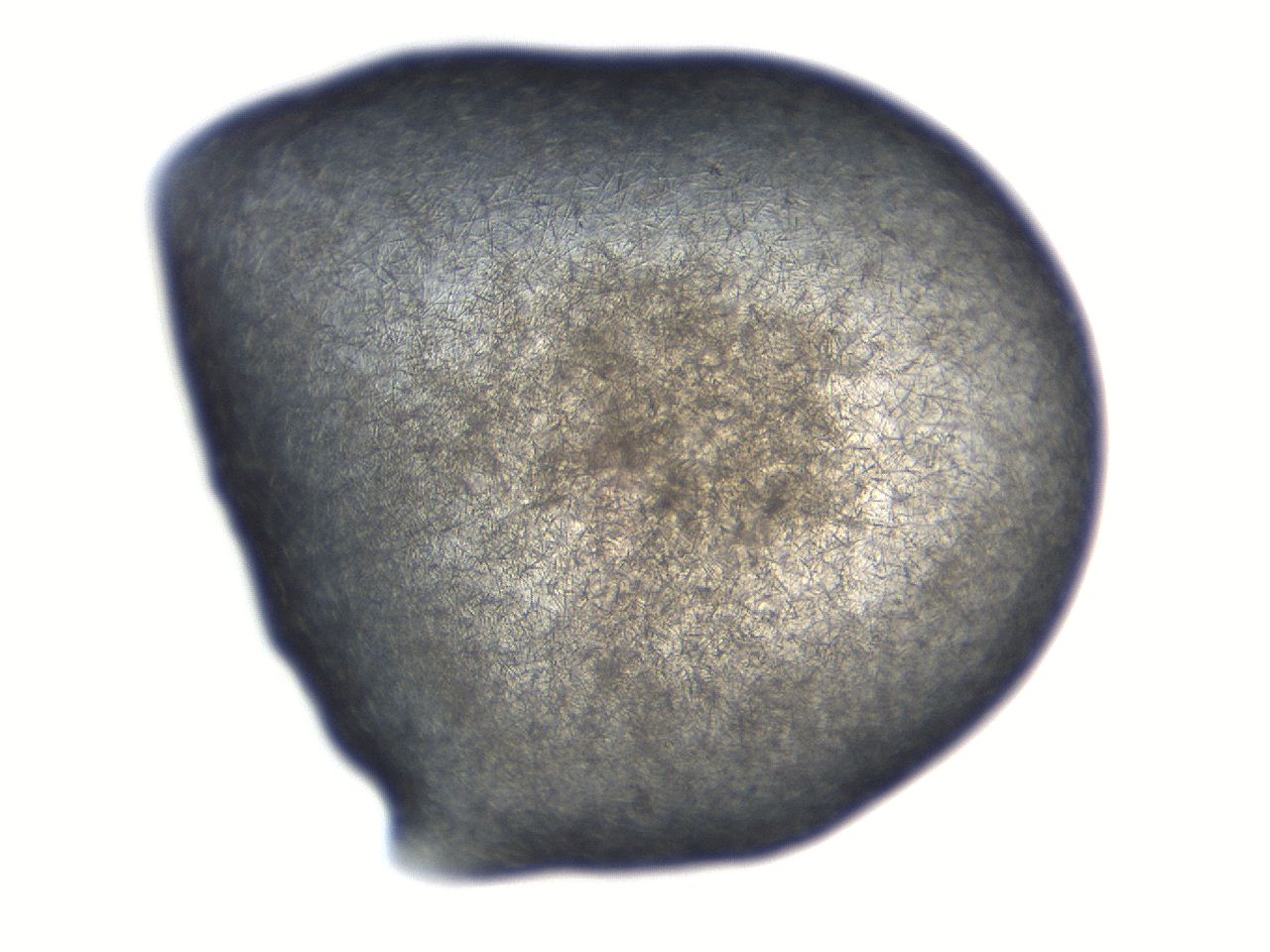 069t_C1_ImagerDefaults_7.jpg