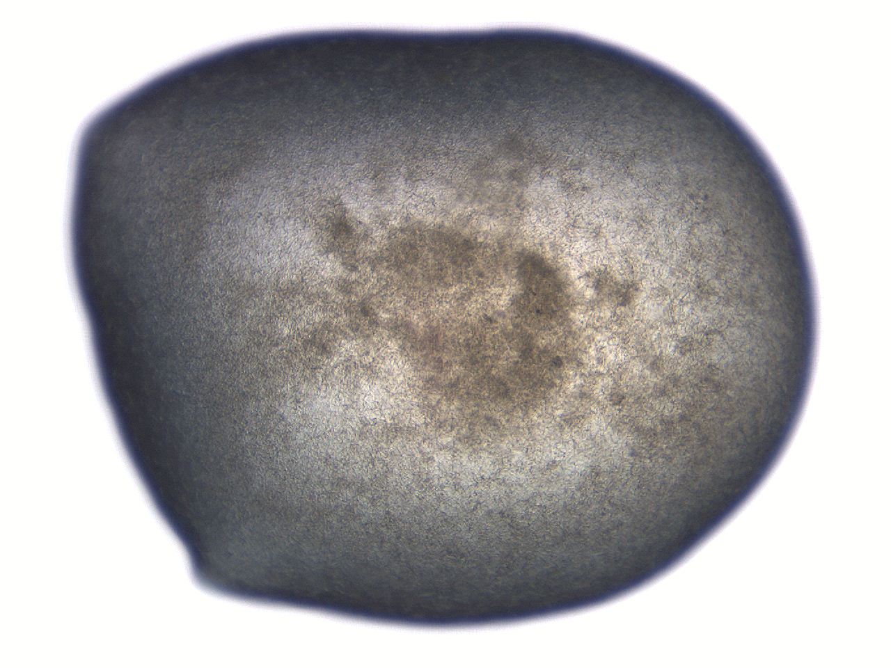 069t_C2_ImagerDefaults_7.jpg