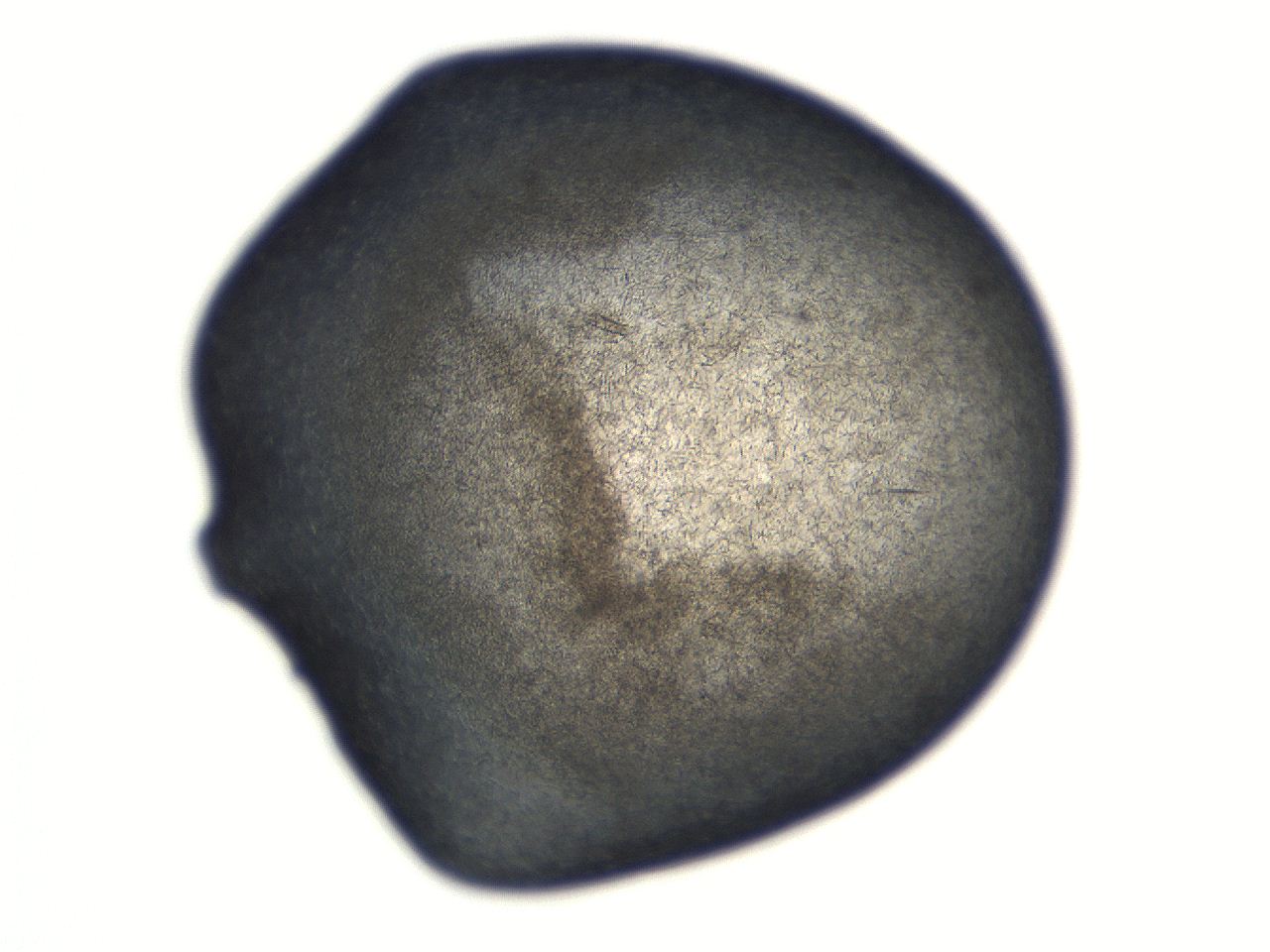 069t_C4_ImagerDefaults_7.jpg