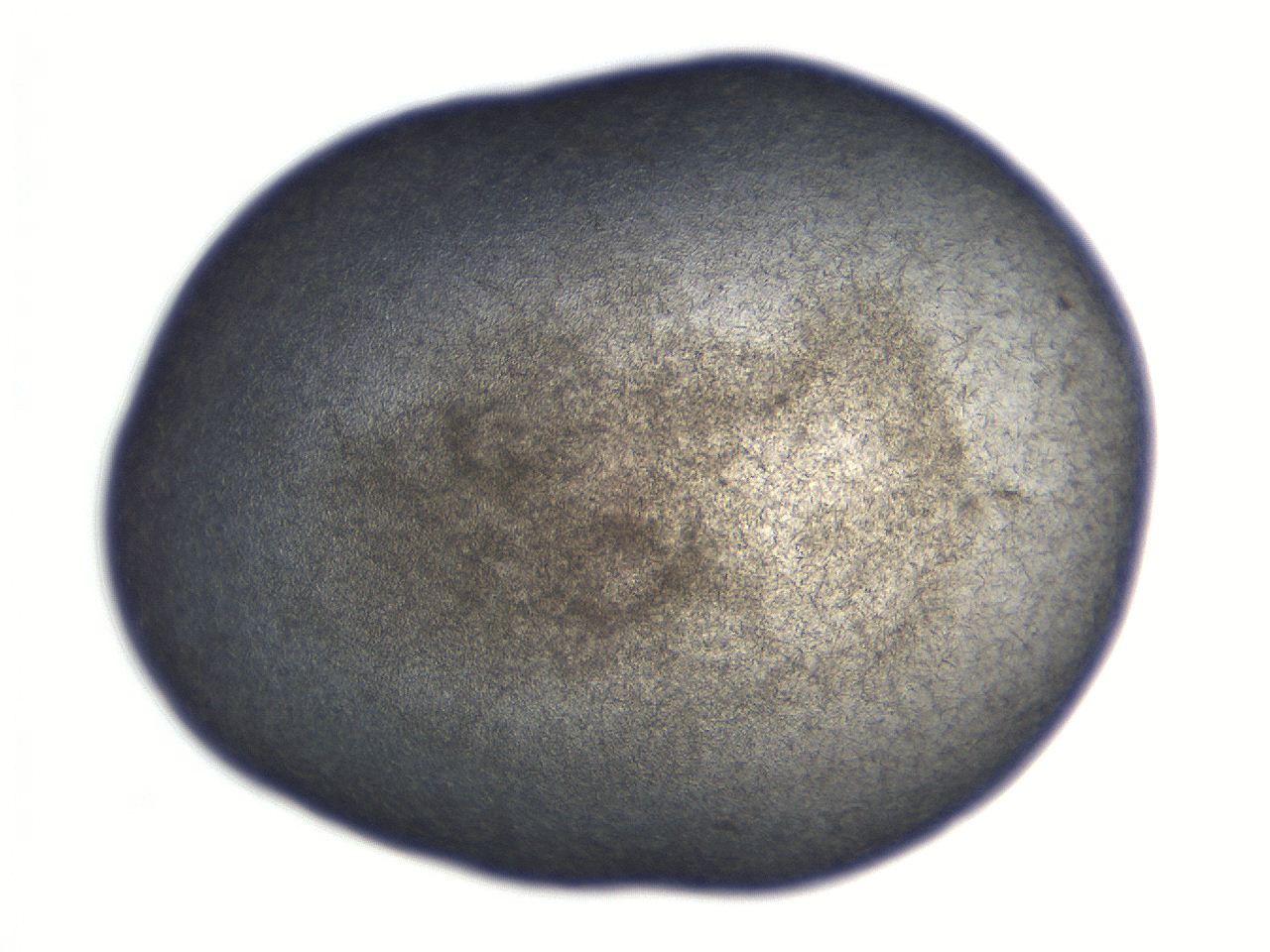 069t_C5_ImagerDefaults_7.jpg