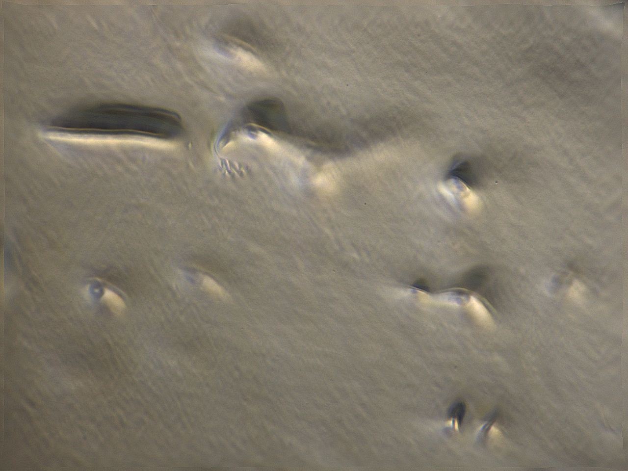 069u_B4_ImagerDefaults_m.jpg