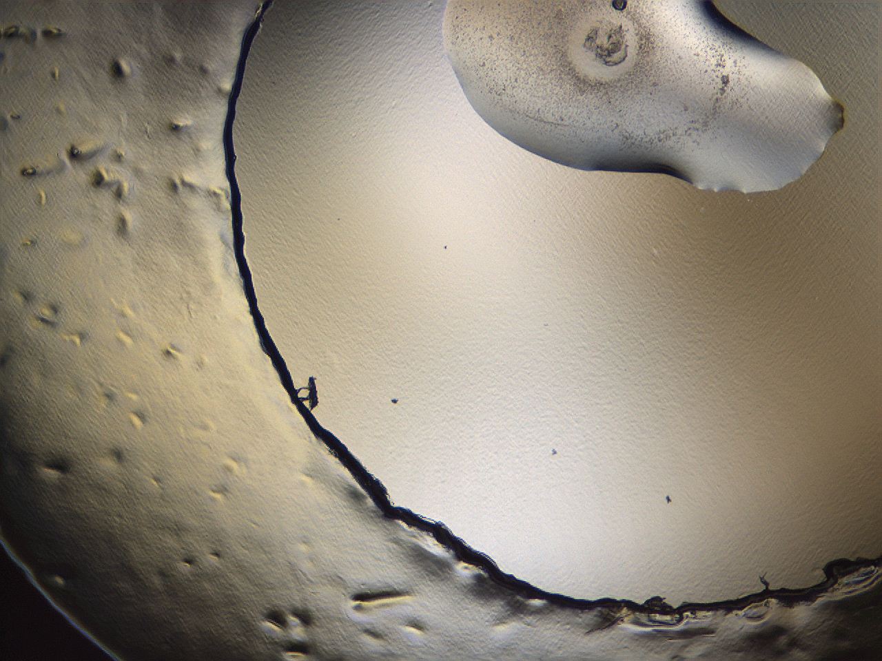 069u_B9_ImagerDefaults_3.jpg