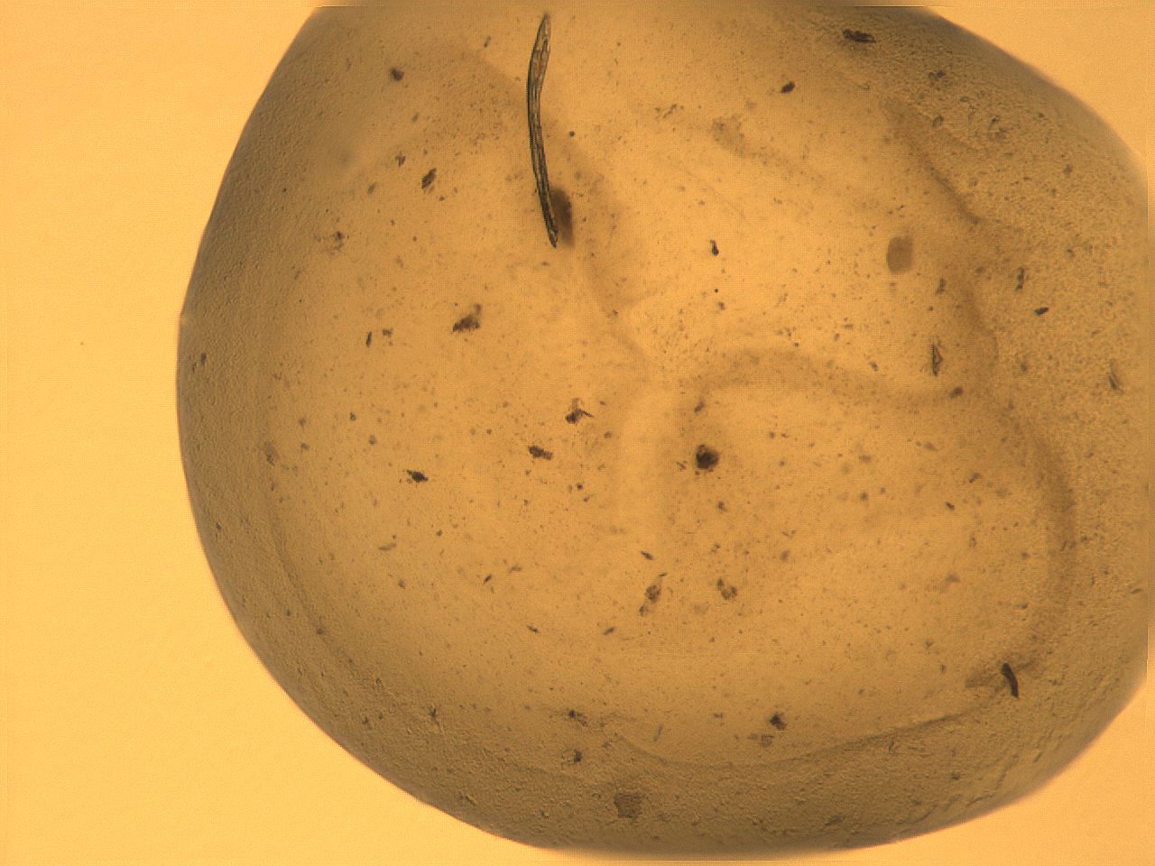 069u_A11_ImagerDefaults_3.jpg