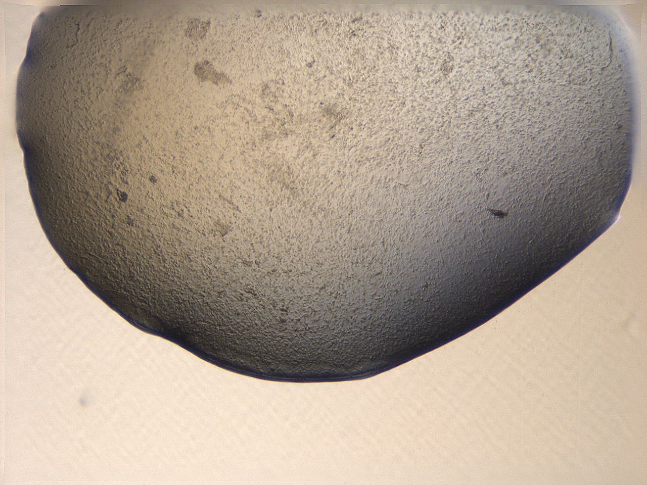 069u_C5_ImagerDefaults_3.jpg