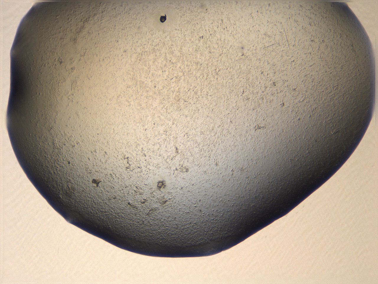 069u_C7_ImagerDefaults_3.jpg