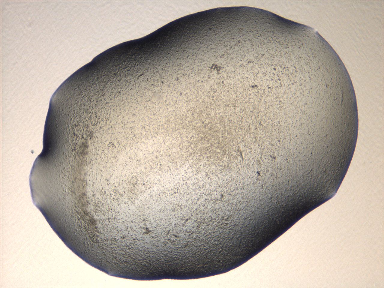 069u_C10_ImagerDefaults_3.jpg