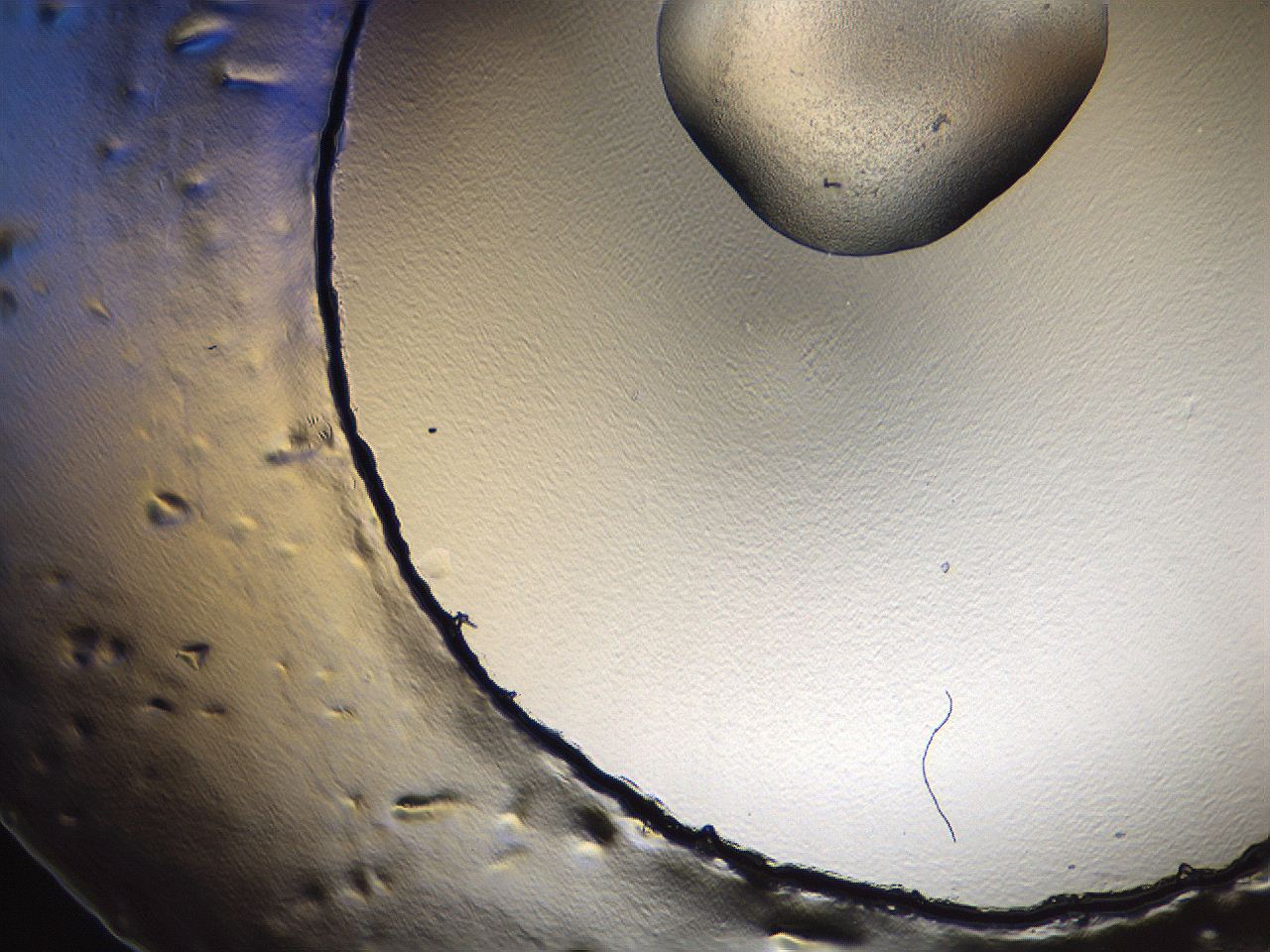 069u_C11_ImagerDefaults_0.jpg