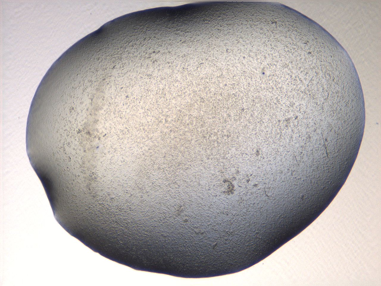 069u_C12_ImagerDefaults_3.jpg