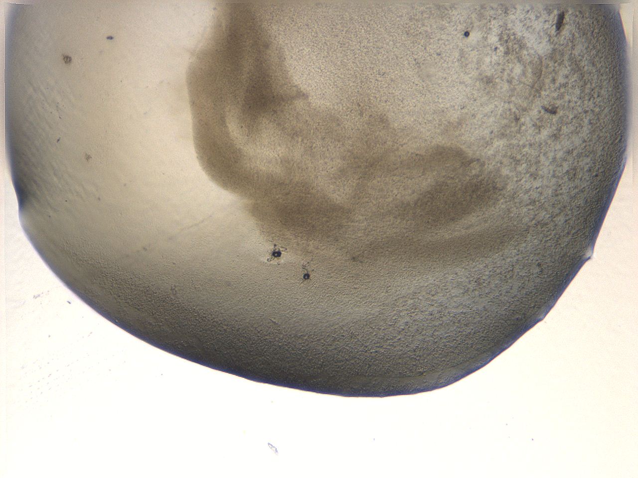 069u_D1_ImagerDefaults_3.jpg