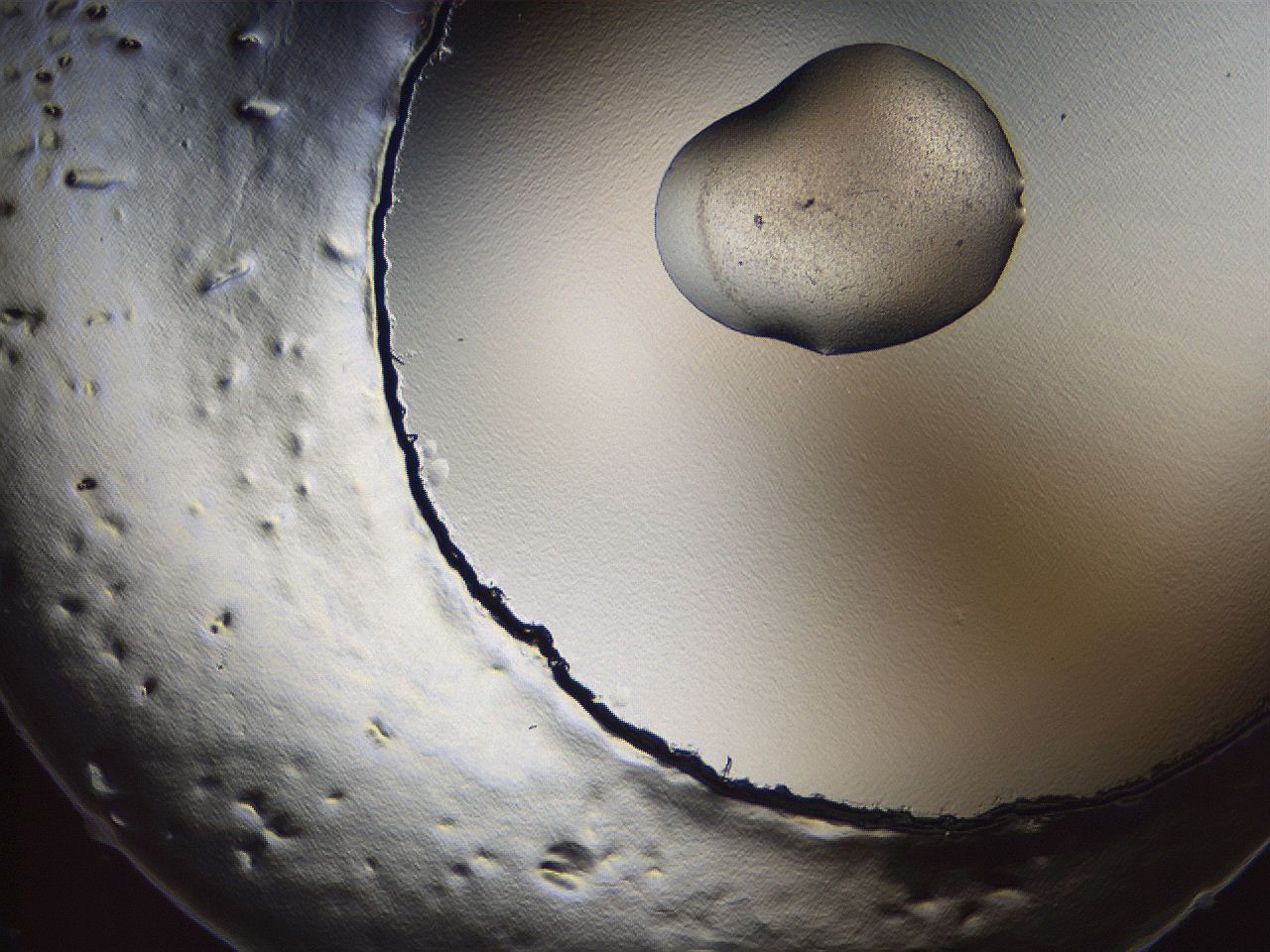 069u_A8_ImagerDefaults_3.jpg