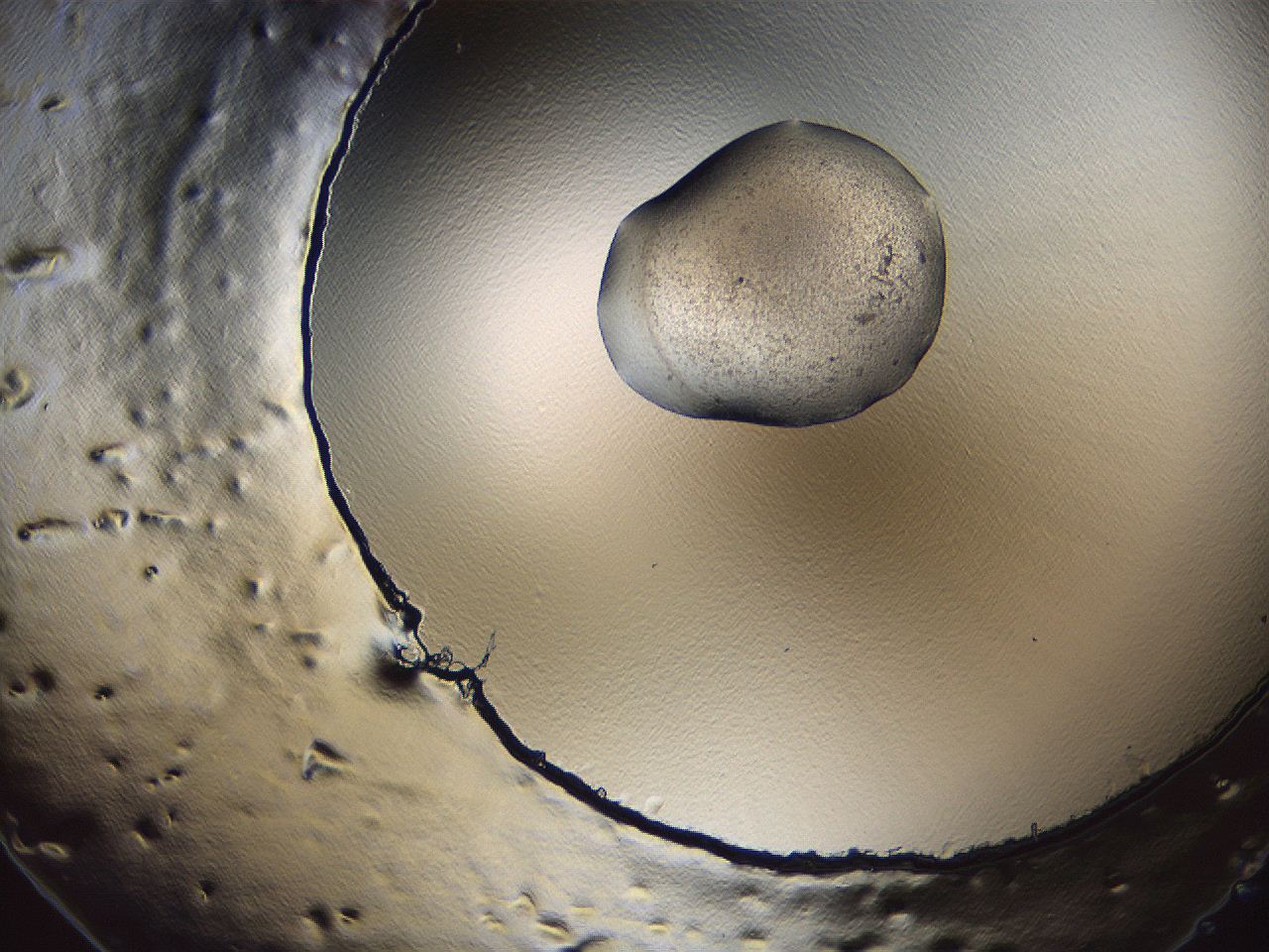 069u_A7_ImagerDefaults_3.jpg