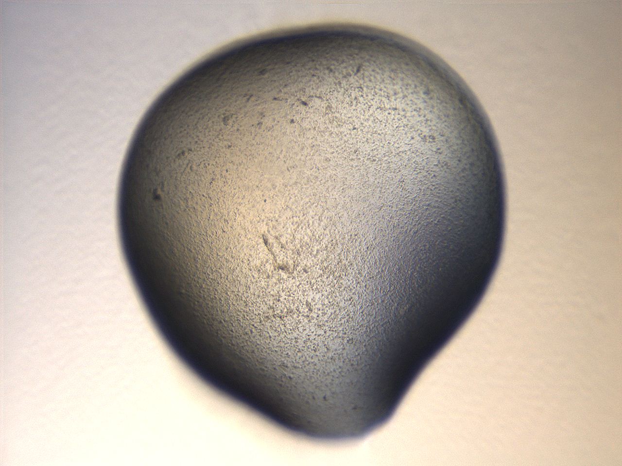 069u_D5_ImagerDefaults_3.jpg