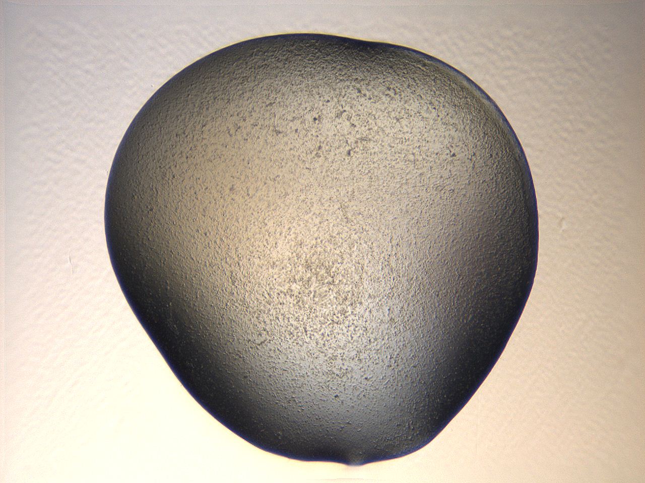 069u_D6_ImagerDefaults_3.jpg