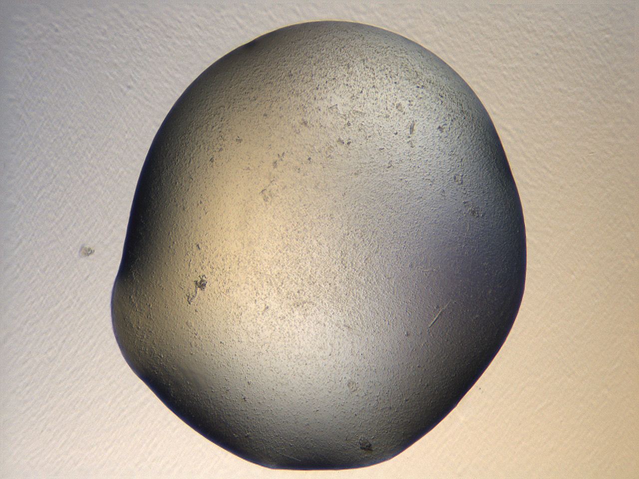 069u_D8_ImagerDefaults_3.jpg