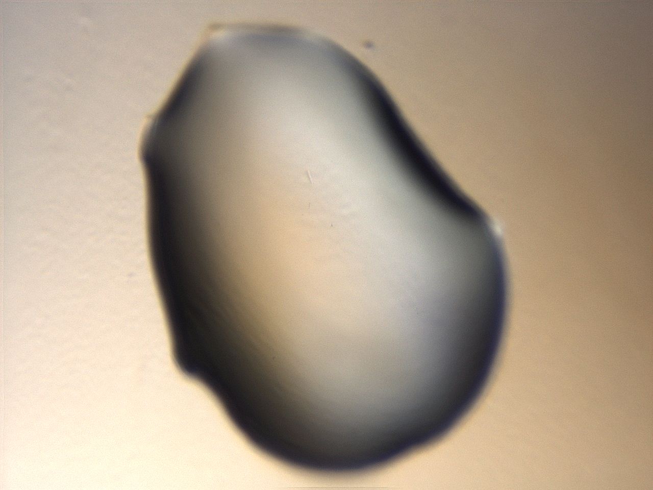 069u_E3_ImagerDefaults_0.jpg