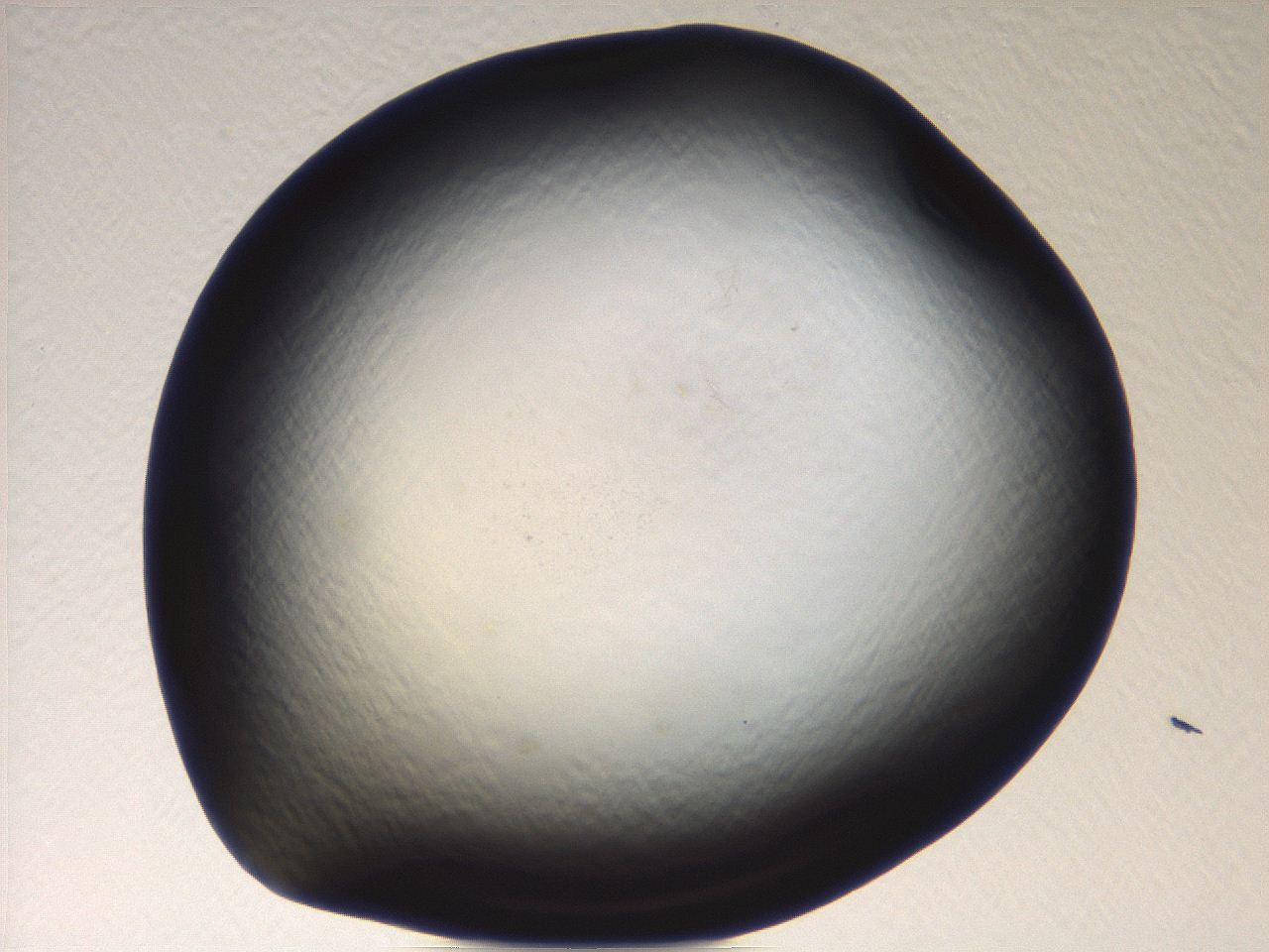 069u_C1_ImagerDefaults_0.jpg