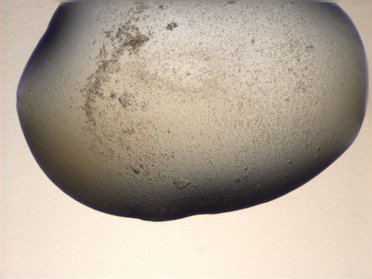 069u_C2_ImagerDefaults_3.jpg