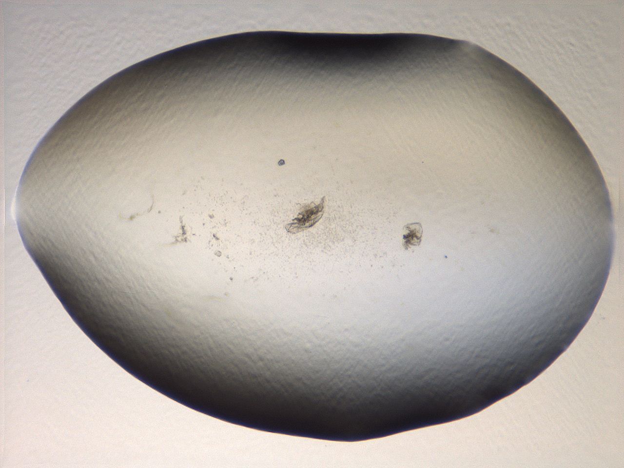 069u_B11_ImagerDefaults_3.jpg
