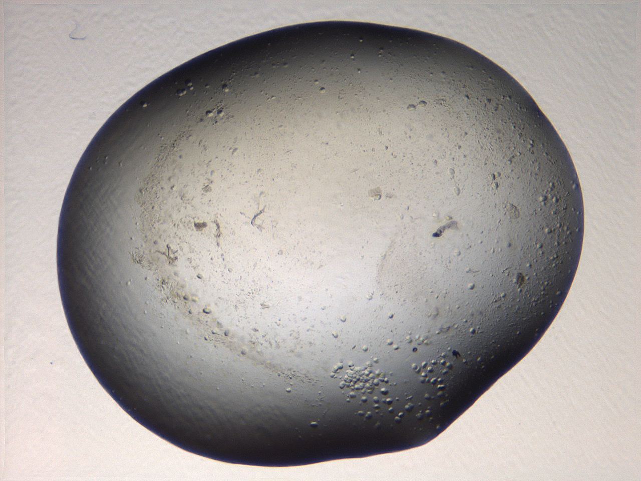 069u_B10_ImagerDefaults_6.jpg