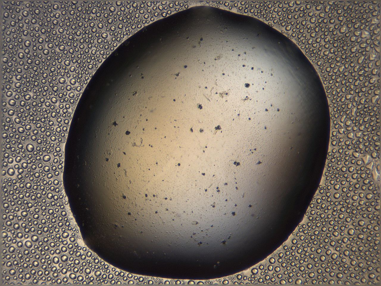 069u_C8_ImagerDefaults_3.jpg
